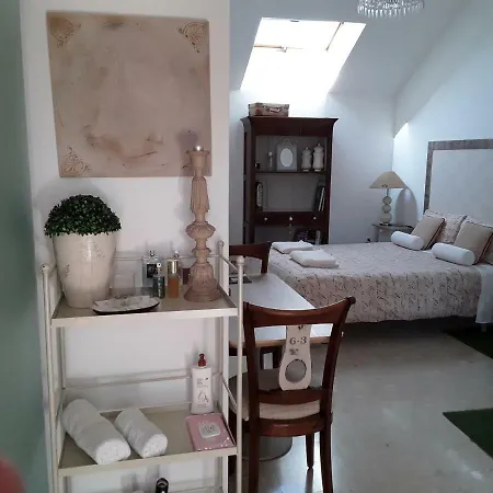Homestay Estudio Fabiola Centro 12-ma